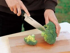 Snow Peak Field Kitchen Knife Santoku -Snow Peak Shop 2 a43a1ce0 34ef 4d45 8f96 a9527bd565c8