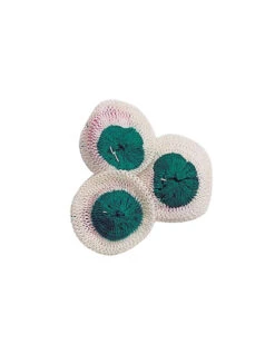 Snow Peak Small Lantern Mantles