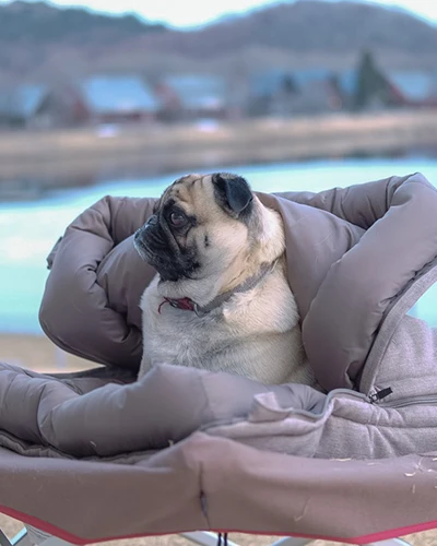 Snow Peak Dog Ofuton Sleeping Bag 7 Snow Peak Dog Ofuton Sleeping Bag - Image 5