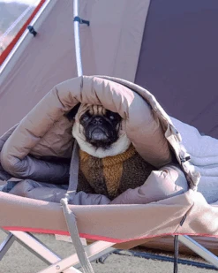 Snow Peak Dog Ofuton Sleeping Bag 18 Snow Peak Dog Ofuton Sleeping Bag -Snow Peak Shop PT 085 switch15 515Wx515H jpg