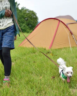 Snow Peak Adjustable Lead Set -Snow Peak Shop playing lead pt 083 alt 02